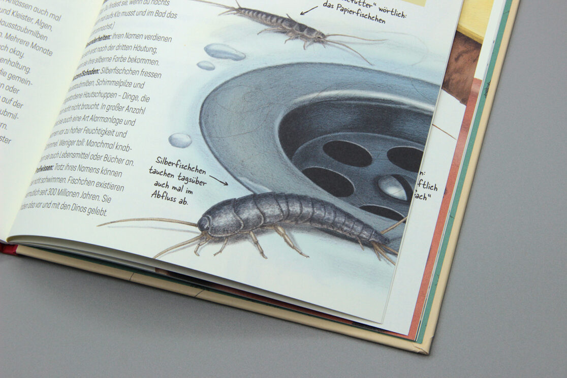 Hui, Spinne: Illustration eines Silberfischchens an einem Abfluss