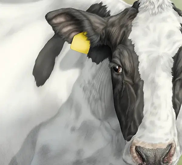 Das wahre Leben der Bauernhoftiere: Vorschaubild