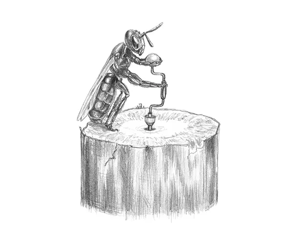 Bienenfiguren für Lehrpfad: Vorschaubild