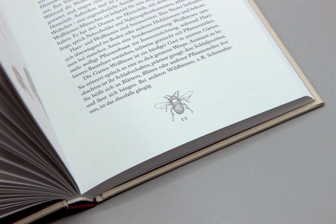 Bienenkalender 2023: Bienen in Originalgröße