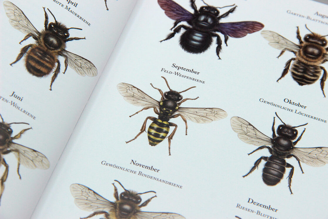 Bienenkalender 2023: Ausschnitt Bienenübersicht