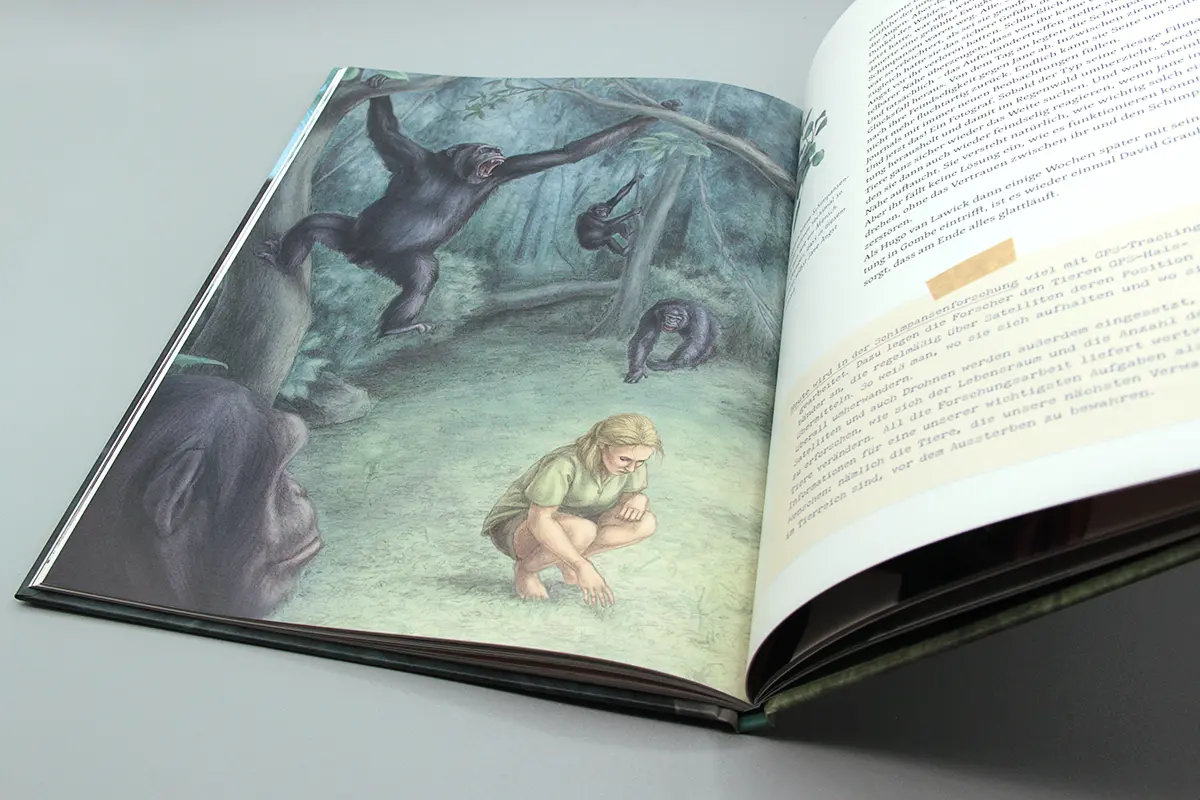 Mit Jane Goodall bei den wilden Schimpansen: ganzseitige Illustration mit einer zusammengekauerten Jane und mehreren Schimpansen, die kurz vor dem Angriff stehen.
