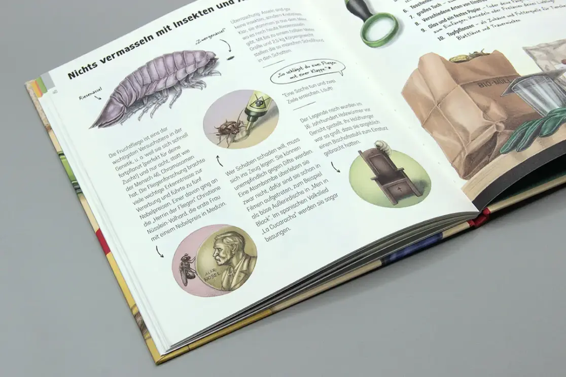 Hui, Spinne: Wissenswerte Fakten mit kleinen Illustration rund um Insekten und Asseln