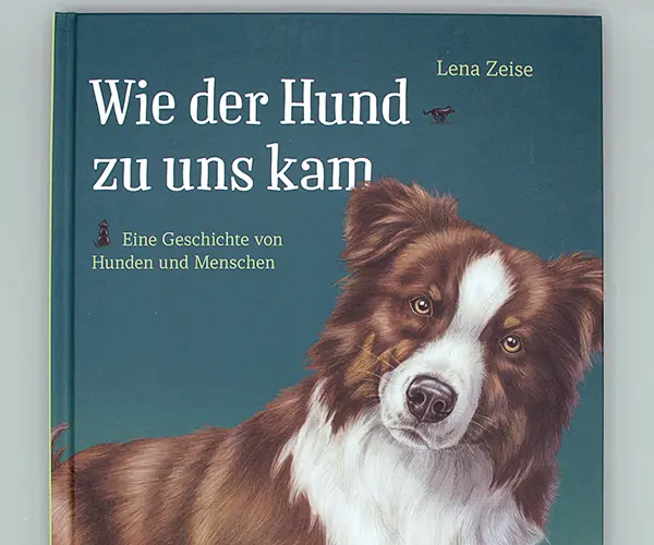 Wie der Hund zu uns kam: Vorschaubild