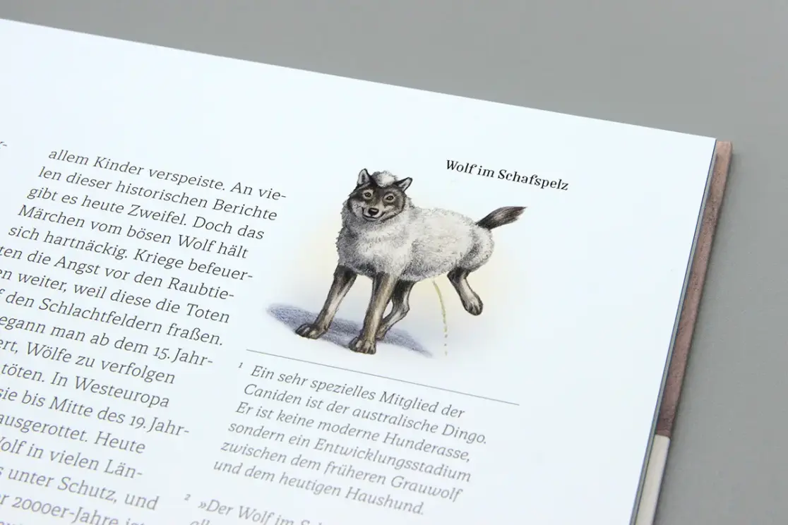 Wie der Hund zu uns kam: Kleine Vignette eines Wolfs im Schafspelz, der das Beinchen hebt.