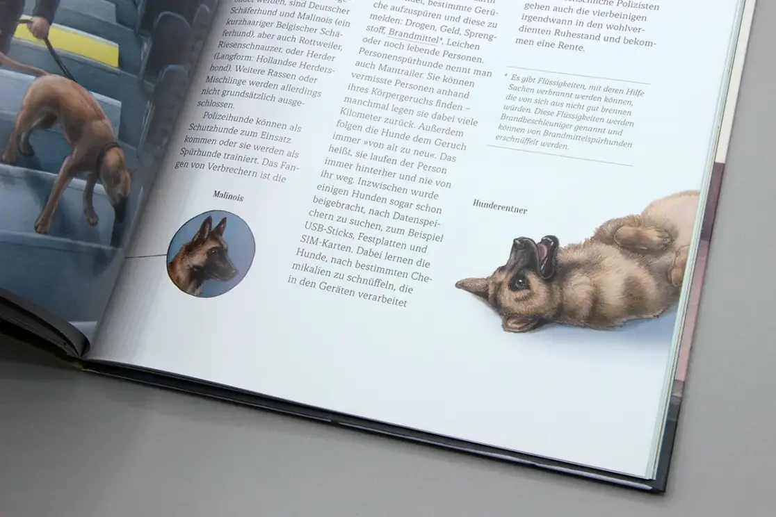 Wie der Hund zu uns kam: Seite im Anschnitt mit auf dem Rücken liegenden Schäferhund