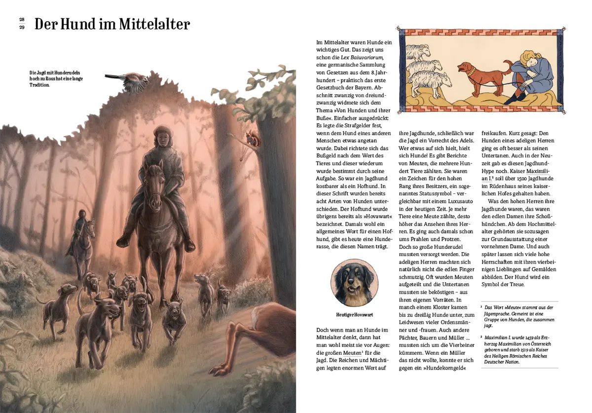 Wie der Hund zu uns kam: Doppelseite mit Hundemeute bei der Jagd im Mittelalter