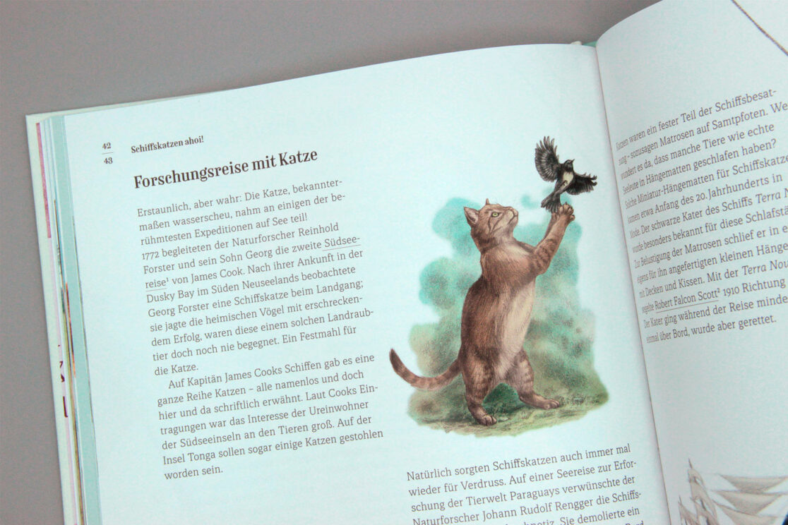 Wie die Katze zu uns kam: Vignette einer jagenden Katze