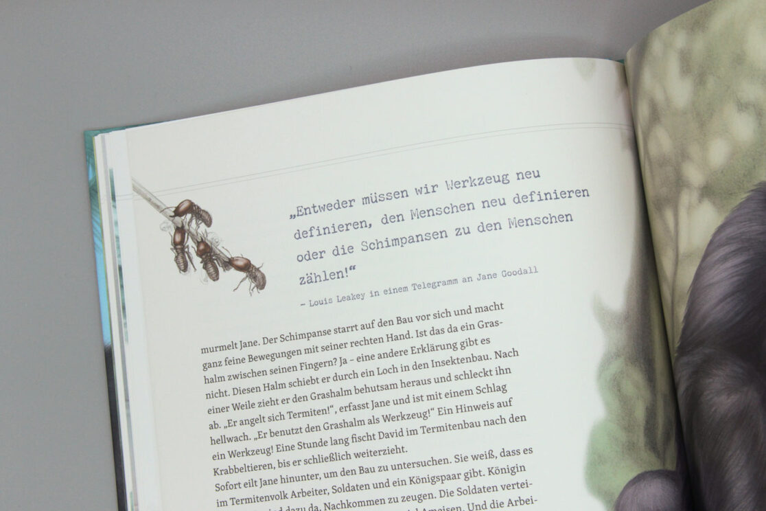 Mit Jane Goodall bei den wilden Schimpansen: Detailansicht eines Zitats im Text und einer kleinen Zeichnung von Termiten, die sich an einem Stängel festgebissen haben.