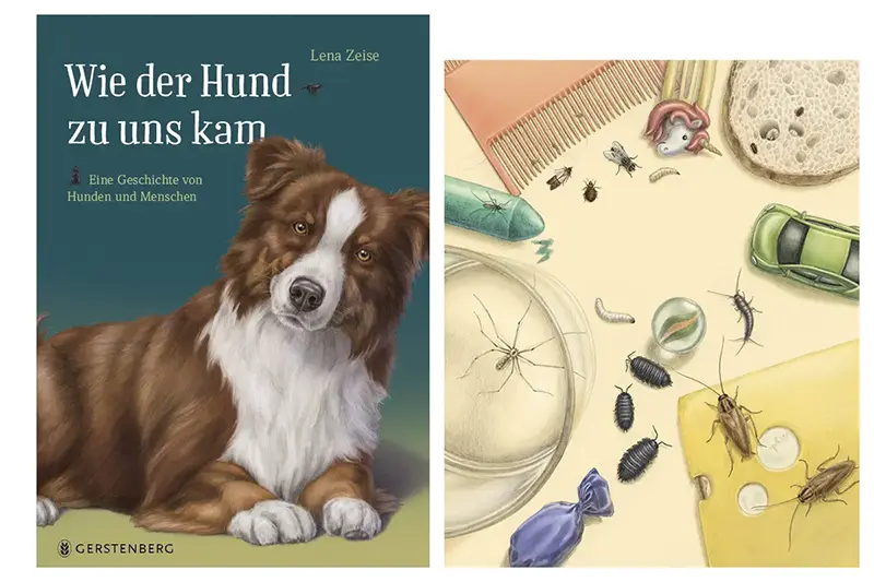 Buchcover gestalten: Finale Illustrationen von zwei Buchcovern