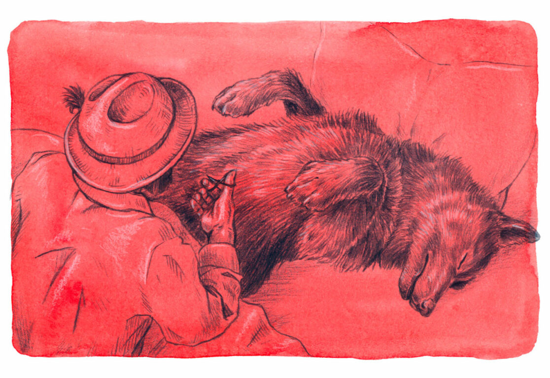 Rotkäppchen – mal anders illustriert: Der Wolf wird aufgeschnitten