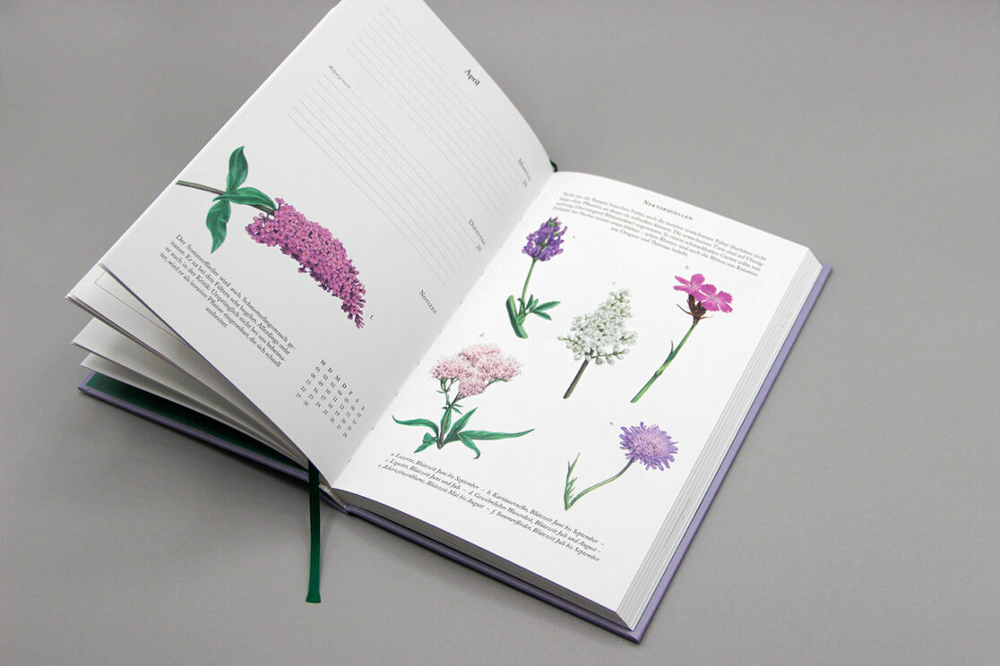 Schmetterlingskalender 2024: Nektarquellen für Schmetterlinge