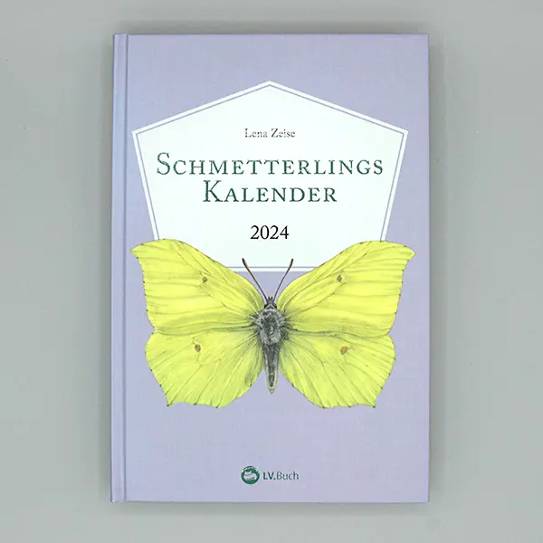 Buchillustration & Buchgestaltung: Cover des Schmetterlingskalenders 2024
