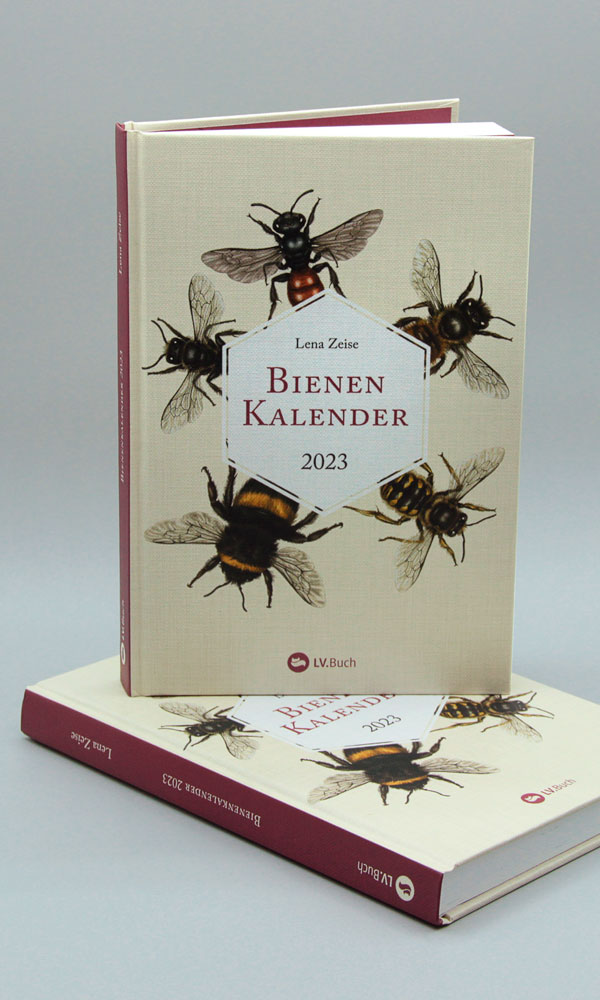 Schwerpunkt Buchgestaltung