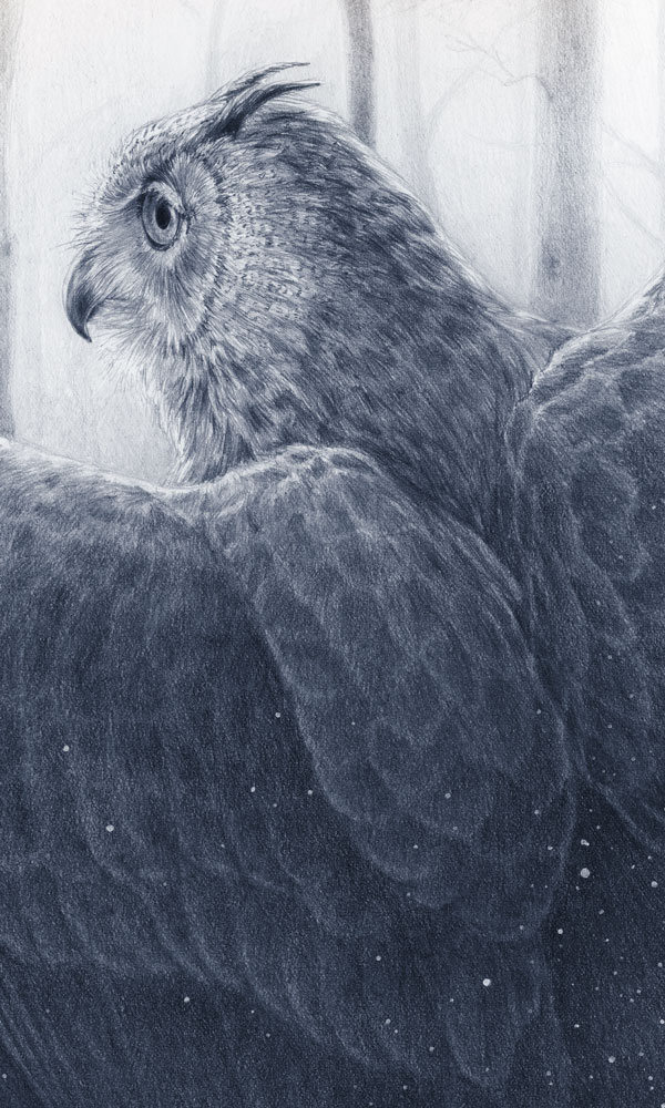 Schwerpunkt Illustration