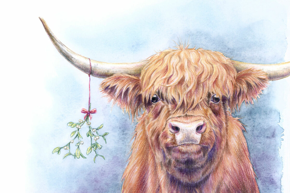 Weihnachtsillustrationen: Das Weihnachtsrind mit Mistelzweig