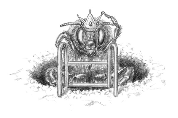 Bienenfiguren für Lehrpfad: Vorschaubild